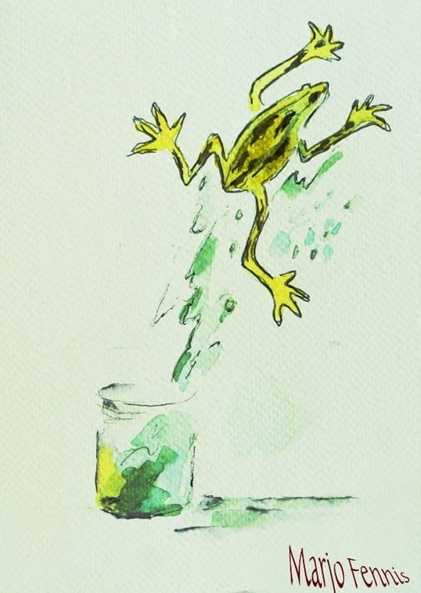 Slimme kikker springt uit de pot