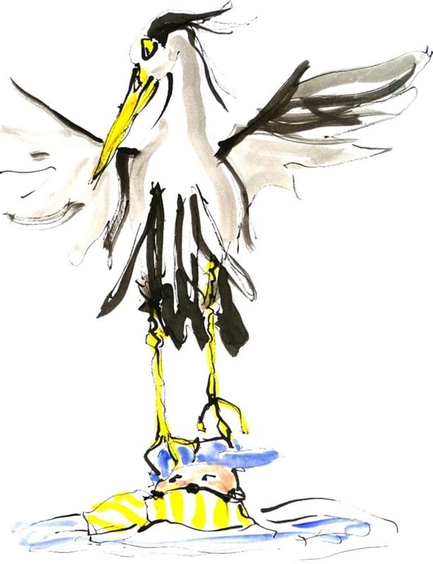 reiger met een Scherpe snavel