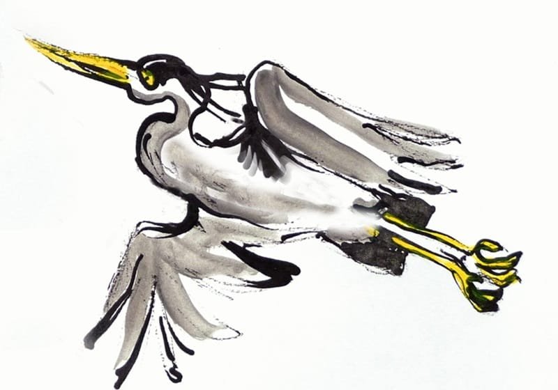 reiger vliegt het groepje achterna