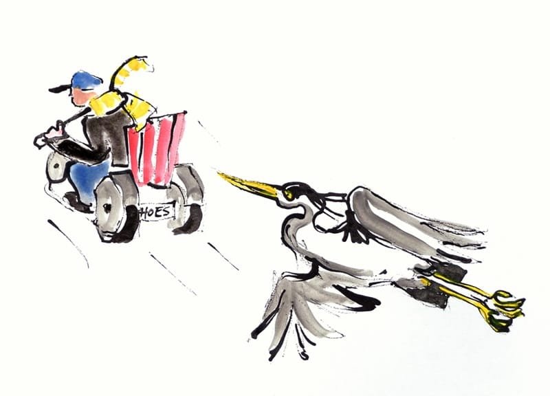Reiger vliegt naar het park
